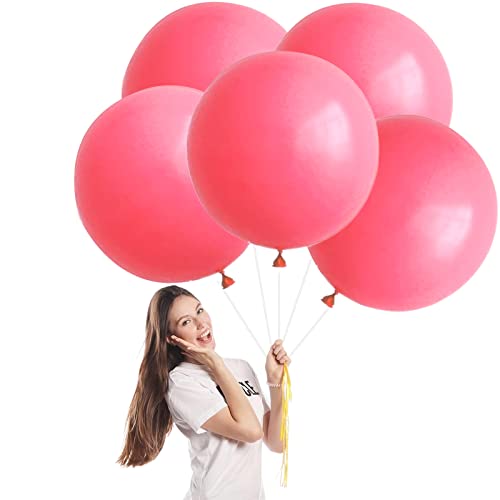 Luftballons Pastell Rot Groß 45cm/18 Zoll,5 Stück Macaron Rot Riesen Luftballons XXL Runde Helium Ballons,HellRot Latex Luftballon Partyballons für Geburtstag,Hochzeit,Brautdusche,Babyparty Dekor von POPOYU