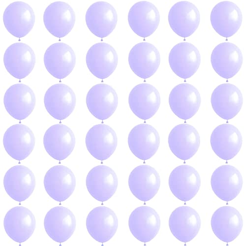 Luftballons Pastell Violett 10 Zoll,36Stück Macaron Violett Luftballons Helium Ballons,Latex Luftballon Partyballons für Geburtstag,Hochzeit,Geschlecht Offenbaren,Brautdusche,Babyparty Dekorationen Luftballons Pastell Violett 10 Zoll,36Stück Macaron Violett Luftballons Helium Ballons,Latex Luftballon Partyballons für Geburtstag,Hochzeit,Geschlecht Offenbaren,Brautdusche,Babyparty Dekorationen von POPOYU