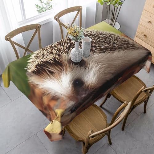 PPTHSNVB Rechteckige Tischdecke, auslaufsicher, knitterfrei, dekorativer Stoff, Bauernhaus-Tischdecken, Igel, wasserdicht, Esstischabdeckungen für Bankett, 89 x 140 cm PPTHSNVB Rechteckige Tischdecke, auslaufsicher, knitterfrei, dekorativer Stoff, Bauernhaus-Tischdecken, Igel, wasserdicht, Esstischabdeckungen für Bankett, 89 x 140 cm von PPTHSNVB