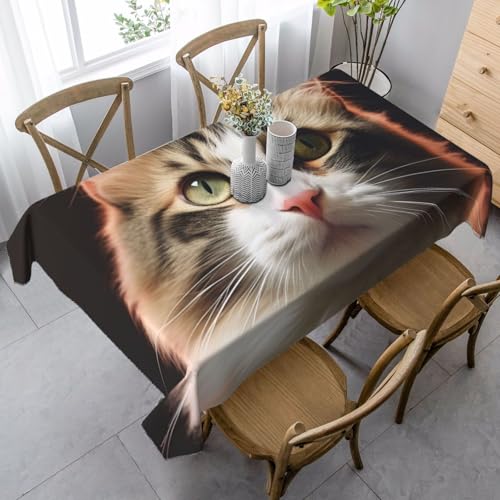 PPTHSNVB Rechteckige Tischdecke, auslaufsicher, knitterfrei, dekorativer Stoff, Bauernhaus-Tischdecken, Katze, wasserdicht, Esstischabdeckungen für Bankett, 89 x 140 cm PPTHSNVB Rechteckige Tischdecke, auslaufsicher, knitterfrei, dekorativer Stoff, Bauernhaus-Tischdecken, Katze, wasserdicht, Esstischabdeckungen für Bankett, 89 x 140 cm von PPTHSNVB