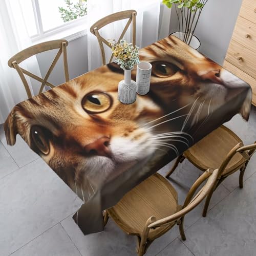 PPTHSNVB Rechteckige Tischdecke, auslaufsicher, knitterfrei, dekorativer Stoff, Bauernhaus-Tischdecken, Katzen, wasserdicht, Esstischabdeckungen für Bankett, 89 x 140 cm PPTHSNVB Rechteckige Tischdecke, auslaufsicher, knitterfrei, dekorativer Stoff, Bauernhaus-Tischdecken, Katzen, wasserdicht, Esstischabdeckungen für Bankett, 89 x 140 cm von PPTHSNVB
