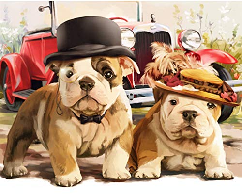 PPTRTYQ DIY Malen nach Zahlen englische Bulldogge Handgemalte Kits Zeichnung Leinwand Bilder nach Zahlen Tier Porträt Wohnkultur Geschenk 40x50cm PPTRTYQ DIY Malen nach Zahlen englische Bulldogge Handgemalte Kits Zeichnung Leinwand Bilder nach Zahlen Tier Porträt Wohnkultur Geschenk 40x50cm von PPTRTYQ