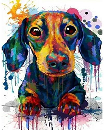 PPTRTYQ DIY Malen nach Zahlen für Erwachsene, Malen nach Zahlen, Set auf Leinwand, für Anfänger, Aquarell, Dackel, Tierfarbe, Geschenk, handbemalt, 40,6 x 50,8 cm, ohne Rahmen PPTRTYQ DIY Malen nach Zahlen für Erwachsene, Malen nach Zahlen, Set auf Leinwand, für Anfänger, Aquarell, Dackel, Tierfarbe, Geschenk, handbemalt, 40,6 x 50,8 cm, ohne Rahmen von PPTRTYQ