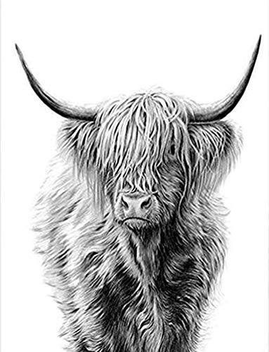PPTRTYQ Malen nach Zahlen für Erwachsene Kinder -Highland Cow Tier- 16x20 Zoll Leinen Leinwand DIY Digitales Malen nach Zahlen Kits Kinder Spielzeug Geschenke Handgemalte Dekoration PPTRTYQ Malen nach Zahlen für Erwachsene Kinder -Highland Cow Tier- 16x20 Zoll Leinen Leinwand DIY Digitales Malen nach Zahlen Kits Kinder Spielzeug Geschenke Handgemalte Dekoration von PPTRTYQ