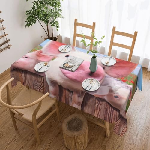 Lustige Tischdecke mit niedlichem Schweine-Druck, elegant, rechteckig, perfekt für Essen, Picknick, Kamin und Partytische Lustige Tischdecke mit niedlichem Schweine-Druck, elegant, rechteckig, perfekt für Essen, Picknick, Kamin und Partytische von PQruop