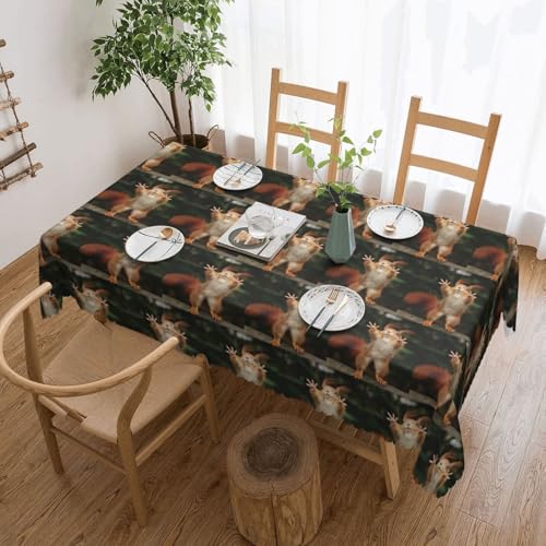 PQruop Elegante rechteckige Tischdecke mit Eichhörnchen-Motiv, ideal für Essen, Picknick, Kamin und Partytische PQruop Elegante rechteckige Tischdecke mit Eichhörnchen-Motiv, ideal für Essen, Picknick, Kamin und Partytische von PQruop