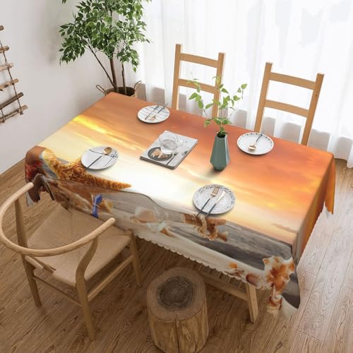 PQruop Elegante rechteckige Tischdecke mit Strandmuscheln, Sonnenuntergang-Druck, perfekt für Ess-, Picknick-, Kamin- und Partytische von PQruop