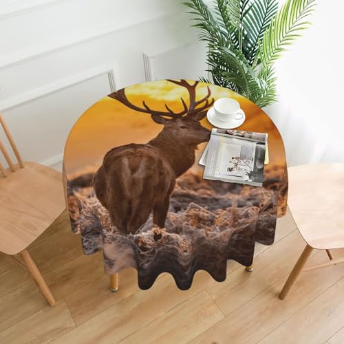 PQruop Elegante runde Tischdecke mit Geweih-Motiv für Partys, Terrasse und Camping, Abdeckung für den Innen- und Außenbereich PQruop Elegante runde Tischdecke mit Geweih-Motiv für Partys, Terrasse und Camping, Abdeckung für den Innen- und Außenbereich von PQruop