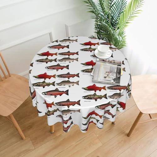 PQruop Elegante runde Tischdecke mit Lachsdruck, für Partys, Terrasse und Camping, Abdeckung für drinnen und draußen PQruop Elegante runde Tischdecke mit Lachsdruck, für Partys, Terrasse und Camping, Abdeckung für drinnen und draußen von PQruop