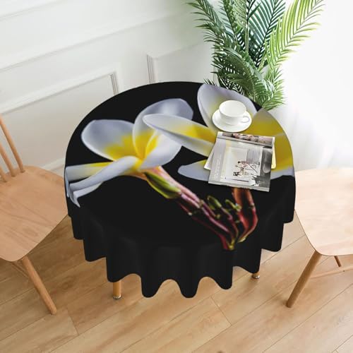 PQruop Elegante runde Tischdecke mit schönem Blumendruck für Partys, Terrasse und Camping, Abdeckung für den Innen- und Außenbereich PQruop Elegante runde Tischdecke mit schönem Blumendruck für Partys, Terrasse und Camping, Abdeckung für den Innen- und Außenbereich von PQruop