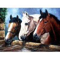 PRACHT® Creatives Malen-nach-Zahlen trinkende Pferde mehrfarbig von PRACHT® Creatives