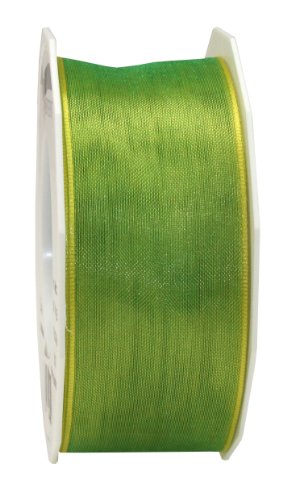 PRÄSENT Band mit Drahtkante, limette, 25-m-Rolle 40 mm von PRÄSENT