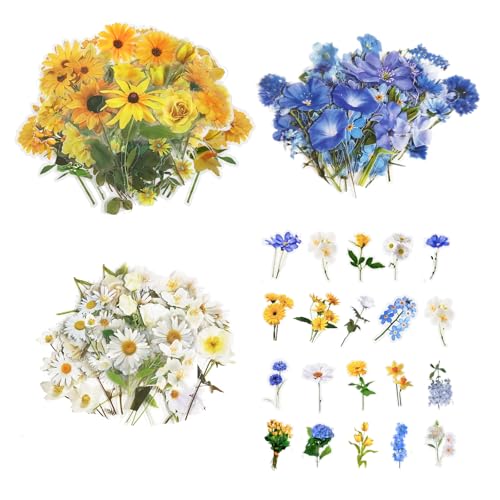 120 Stück Scrapbooking Stickers set - Transparente PET Wasserfeste Aufkleber Blumen, Bunte Aesthetic Sticker Blumen, Vintage Sticker Fotoalbum für DIY kofferaufkleber, Handyhüllen 120 Stück Scrapbooking Stickers set - Transparente PET Wasserfeste Aufkleber Blumen, Bunte Aesthetic Sticker Blumen, Vintage Sticker Fotoalbum für DIY kofferaufkleber, Handyhüllen von PRCZLRD