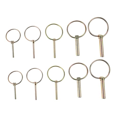 PRETYZOOM 10 Stück Stift Karabinerhaken Fadenschlaufe Anhänger Baggergriffe Französisches Türschloss Ablassstange Großes Sicherheitsrad Lenkkarabinerhaken Durchsichtiges PRETYZOOM 10 Stück Stift Karabinerhaken Fadenschlaufe Anhänger Baggergriffe Französisches Türschloss Ablassstange Großes Sicherheitsrad Lenkkarabinerhaken Durchsichtiges von PRETYZOOM