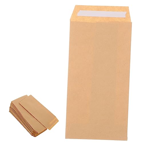 PRETYZOOM 100Stücke Kraftpapier Umschläge für Geld Geschenkkarten Kleine Gegenstände für Gartenbedarf Organisation von Sammlungen von PRETYZOOM