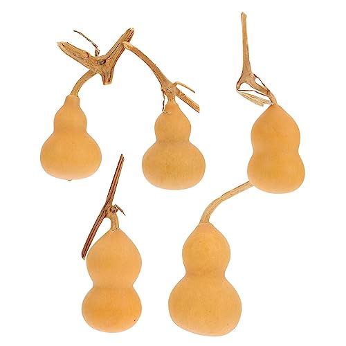 PRETYZOOM 5St Mini-Kürbis Autodekoration Kürbis Trinken Kürbisse büro Dekoration Office Decoration Desktop-Kürbis-Verzierungen natürliche Kürbisverzierungen natürlicher Kürbis Khaki von PRETYZOOM