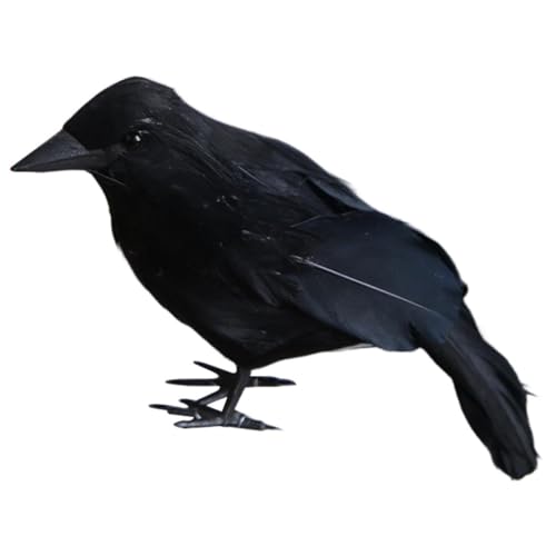 PRETYZOOM Krähen Ornament Topper Künstlicher Krähenvogel Lebensechte Krähenvögel Kostüm Krähen Halloween Spinnennetz Stirnband Krähenfigur Totenköpfe Halloween Dekorationen PRETYZOOM Krähen Ornament Topper Künstlicher Krähenvogel Lebensechte Krähenvögel Kostüm Krähen Halloween Spinnennetz Stirnband Krähenfigur Totenköpfe Halloween Dekorationen von PRETYZOOM