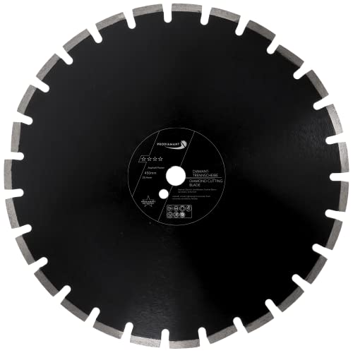 PRODIAMANT Diamantscheibe 450 mm x 25,4 mm Abrasiv für Straßen, Asphalt, Estrich, Leichtbeton, frischer Beton, Sandstein und Schamott PRODIAMANT Diamantscheibe 450 mm x 25,4 mm Abrasiv für Straßen, Asphalt, Estrich, Leichtbeton, frischer Beton, Sandstein und Schamott von PRODIAMANT