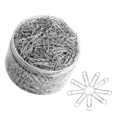 PROMISE FLOURISH Büroklammern aus Metall, rostfrei, mit großer Kunststoffbox (2,9 cm), 500 Stück von PROMISE FLOURISH
