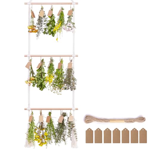 PROTITOUS Kräuter-Abtropfgestell mit 3 Etagen, Blumen-Trockner, mit 25 braunen Geschenkanhängern und 9,8 m natürlicher Jute-Schnur, Kräutertrockner, Hängender Kräutertrockner, elfenbeinfarben PROTITOUS Kräuter-Abtropfgestell mit 3 Etagen, Blumen-Trockner, mit 25 braunen Geschenkanhängern und 9,8 m natürlicher Jute-Schnur, Kräutertrockner, Hängender Kräutertrockner, elfenbeinfarben von PROTITOUS