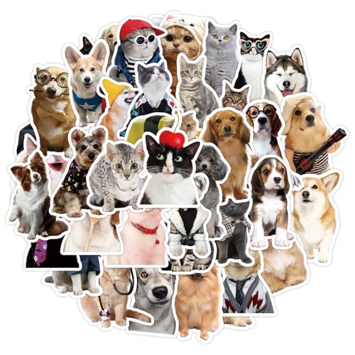 PRSTINCOL Haustier-Aufkleber für Wasserflasche, Laptop, niedliche Katzen und Hunde, Vinyl-Aufkleber, wasserdicht, für Kinder, Teenager, Erwachsene, Verwendung auf Handyhülle, Sammelalbum, 100 Stück von PRSTINCOL