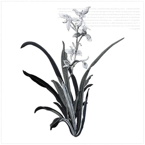 19 x 24,5 cm Orchideenblüten-Aufnäher for Aufbügeln, floraler Aufnäher for Kleidung, Stoff, for Aufbügeln, DIY-Mantel, Jeans-Zubehör(Color A) von PSNKLMM