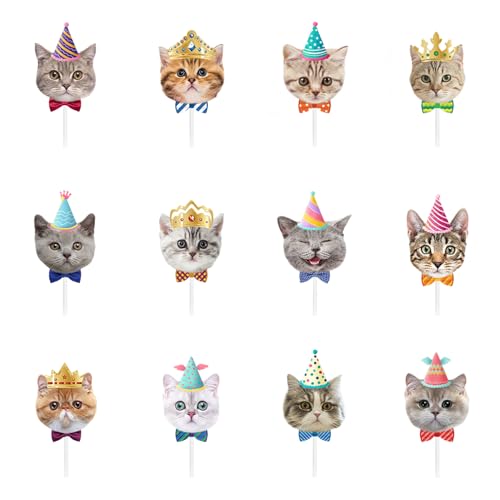 12 Stück Birthdays Cupcake Topper für Katzen Party Dekorationen, Happy Birthday Kuchen Topper Dekoration für Haustier Birthdays Party Dekorationen, 5,13cm von PT Haahoos
