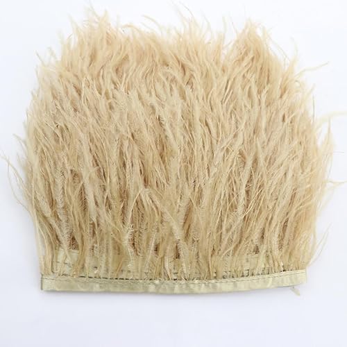 1 Meter Lang Straußenfeder-Borte, 10-15cm Feder fransen Band Straußenfedern Stoffstreifen DIY Straußfeder Satinband Band Fransen Fransen mit Satinband, für Kleidung, Kostüme, Nähen, Dekoration 1 Meter Lang Straußenfeder-Borte, 10-15cm Feder fransen Band Straußenfedern Stoffstreifen DIY Straußfeder Satinband Band Fransen Fransen mit Satinband, für Kleidung, Kostüme, Nähen, Dekoration von PTNKUIIY