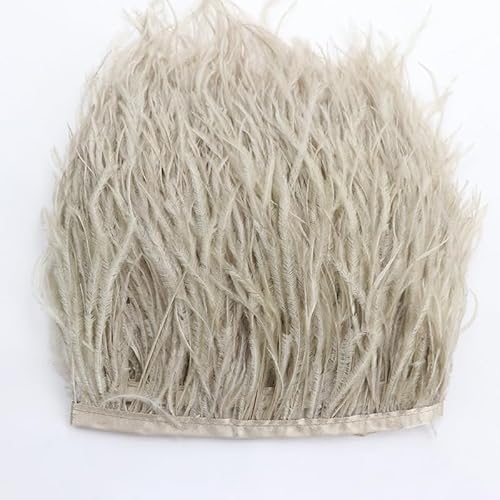 1 Meter Lang Straußenfeder-Borte, 10-15cm Feder fransen Band Straußenfedern Stoffstreifen DIY Straußfeder Satinband Band Fransen Fransen mit Satinband, für Kleidung, Kostüme, Nähen, Dekoration 1 Meter Lang Straußenfeder-Borte, 10-15cm Feder fransen Band Straußenfedern Stoffstreifen DIY Straußfeder Satinband Band Fransen Fransen mit Satinband, für Kleidung, Kostüme, Nähen, Dekoration von PTNKUIIY