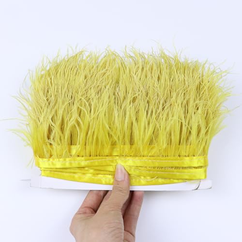 PTNKUIIY Flauschige Straußenfedern-Borten, 1m Lang 6-8cm Breit weiche Straußenfedern Fransenborte Band zum Nähen DIY Straußfeder Satinband Fransen für Kleidung Hochzeit Dekoration Basteln -Gold PTNKUIIY Flauschige Straußenfedern-Borten, 1m Lang 6-8cm Breit weiche Straußenfedern Fransenborte Band zum Nähen DIY Straußfeder Satinband Fransen für Kleidung Hochzeit Dekoration Basteln -Gold von PTNKUIIY