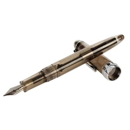 PURYN Füllfederhalter, 0,5 mm, silberfarbener Clip, Tintenschreiber, Schreibwaren, Schul- und Bürobedarf (transparentes Schwarz) von PURYN