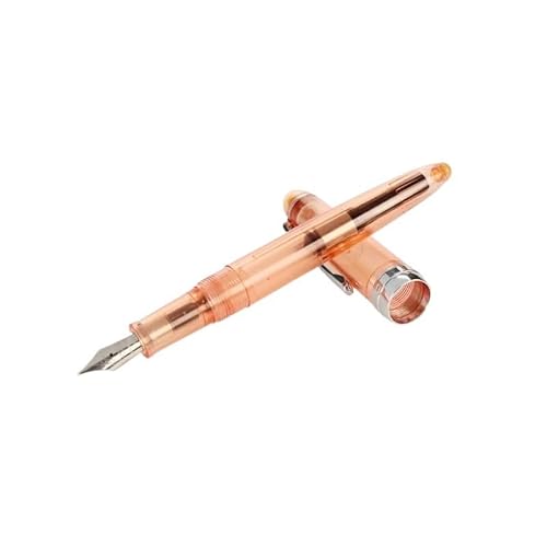 PURYN Füllfederhalter, 0,5 mm, silberfarbener Clip, für Studenten, Schreibwaren, Schul- und Bürobedarf (transparentes Orange) von PURYN