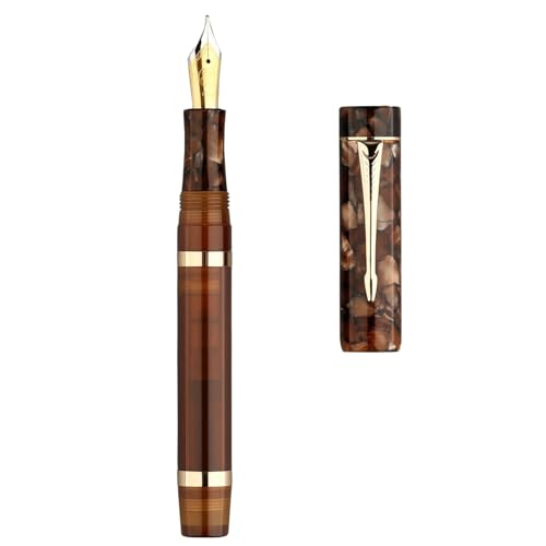 PURYN Füllfederhalter aus Kunstharz, Nr. 6, feine Spitze, 0,5 mm, mit Konverter, goldener Clip, schöner Schreibstift (Braun, nur ein Stift) von PURYN