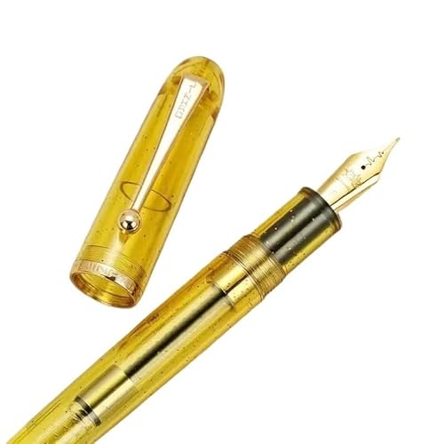 PURYN Füllfederhalter mit Schneeflocken-Punkten, bunt, transparent, Schreibwaren, Büro, Schule, niedliche Schreibtintenstifte (5 (Herzschlagfeder), F 0,5 mm von PURYN