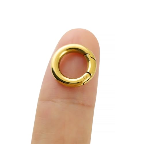 1 x O-Federringe, Schlüsselanhänger, Schnappverschluss, Ringschnalle, Verschluss für Schlüsselanhänger, Handtasche, Geldbörse, Schultergurt, Schmuck, DIY (Gold (0,7 cm) von PUTNPC