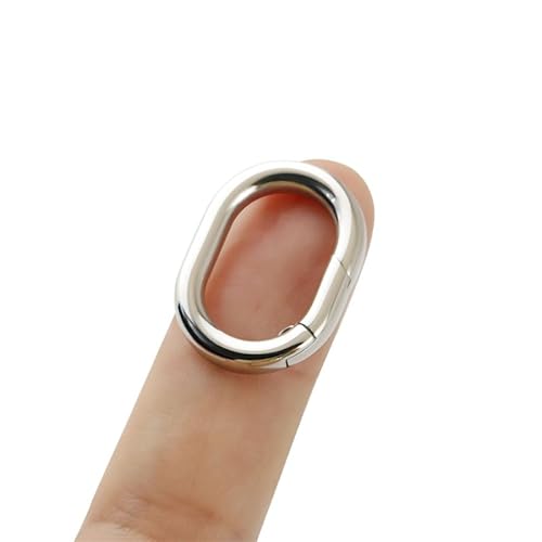1 x ovaler Schlüsselanhänger-Clip-Haken, für Halsketten, Armbänder, Mehrzweck, für Schmuckzubehör, Bastelarbeiten, Silber (1,6 cm) von PUTNPC