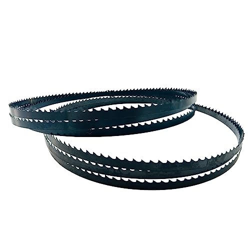 Premium-Bandsägeblätter, 1400 mm Bandsägeblätter 1400 x 6,35 x 0,35 mm 6 10 14 TPI Bandsäge for Holz 1/2/3 Stück (Farbe: 2 Stück 6TPI)(2PCS 10TPI) von PUYUNA