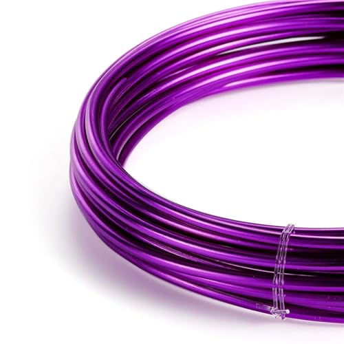 Mehrfarbiger Aluminium-Basteldraht, Runder Aluminiumdraht, vielseitig einsetzbar, lackierter Aluminium-Metalldraht zur Herstellung von DIY-Schmuck, Zubehör for die Fahrradmodellierung(Dark Purple,2.0m Mehrfarbiger Aluminium-Basteldraht, Runder Aluminiumdraht, vielseitig einsetzbar, lackierter Aluminium-Metalldraht zur Herstellung von DIY-Schmuck, Zubehör for die Fahrradmodellierung(Dark Purple,2.0m von PXAMORTEL