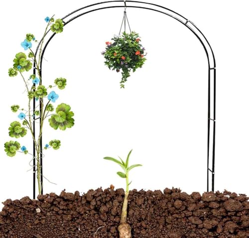 Metall-Hochzeitsbogen, Rosenbogen, Gartenbogen for Kletterpflanzen, Breite 1,4 m bis 3,5 m(Green,W1.4M*H2.3M) von PXAMORTEL