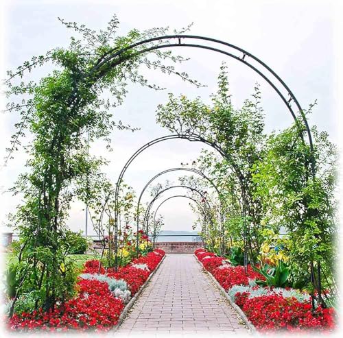 Metall-Hochzeitsbogen, Stabiles 3,5 m langes Spalier for Rosenbögen, Pergola aus Eisen for eine breite Abdeckung von 1,4 bis 3 m(Black,W3.5M*H2.2M) von PXAMORTEL
