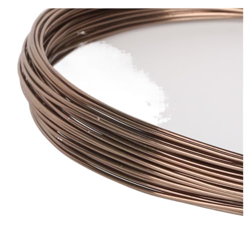 PXAMORTEL Mehrfarbiger Aluminium-Basteldraht, 10 m Aluminiumdraht, weicher DIY-Schmuckhandwerk, vielseitiger lackierter Aluminium-Metalldraht for die Fahrradmodellierung(Brown) von PXAMORTEL