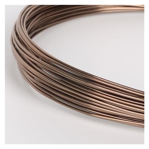 PXAMORTEL Mehrfarbiger Aluminium-Basteldraht, 3–10 Meter runder Aluminiumdraht, 1–2,5 mm, vielseitig einsetzbar, lackierter Aluminium-Metalldraht.(Brown,2.5mm 3.0Meters) von PXAMORTEL