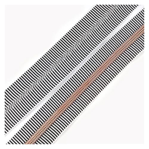 PXAMORTEL Metallische Nylon-Reißverschlüsse, 5# Kunststoff-Nylon-Reißverschlüsse for Nähen von DIY-Kleidungszubehör, Mehrfarbig, 1m – 3m(Black Brown,2M) von PXAMORTEL