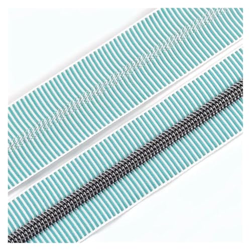 PXAMORTEL Metallische Nylon-Reißverschlüsse, 5# Kunststoff-Nylon-Reißverschlüsse for Nähen von DIY-Kleidungszubehör, Mehrfarbig, 1m – 3m(Green Orange,2M) von PXAMORTEL