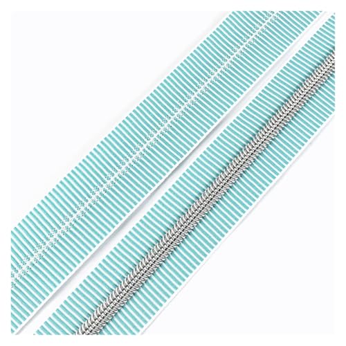 PXAMORTEL Metallische Nylon-Reißverschlüsse, 5# Kunststoff-Nylon-Reißverschlüsse for Nähen von DIY-Kleidungszubehör, Mehrfarbig, 1m – 3m(GreenSilver,1M) von PXAMORTEL