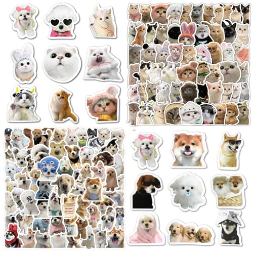 PXBSNB 220 Stück Lustiges Hund Katzen Sticker Set, Wasserfeste Vinyl Hund Katzensticker, Cute Stickers Kinder und Erwachsene, Aufkleber Aesthetic für Laptop Skateboard Telefon Scrapbook Gitarre Koffer PXBSNB 220 Stück Lustiges Hund Katzen Sticker Set, Wasserfeste Vinyl Hund Katzensticker, Cute Stickers Kinder und Erwachsene, Aufkleber Aesthetic für Laptop Skateboard Telefon Scrapbook Gitarre Koffer von PXBSNB