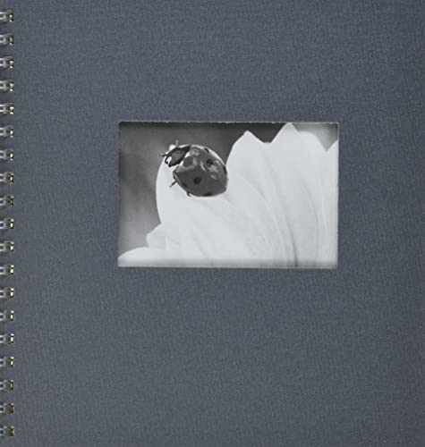 Pagna 12156-10 Passepartout-Spiralalbum 240 x 250 mm 50 Seiten, Leineneinband mit Passepartout Fotokarton weiß mit Pergamin, grau von Pagna