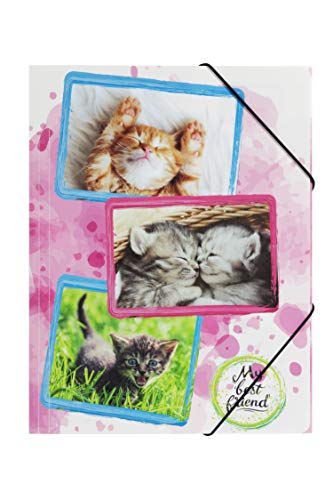 Pagna 21661-15 Gummizugmappe A4 Katzen (Dokumentenmappe, PP, Eckspanngummi) von Pagna