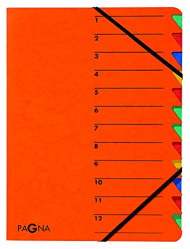 Pagna 24131-05 Ordnungsmappe Easy, Pressspan, A4, 12 Fächer, buntes Register (A4, Orange, 5) von Pagna