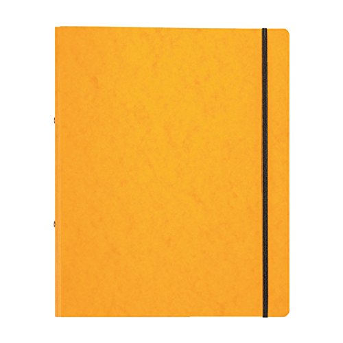 Pagna 44100-05 Ringbuch, Gummizug, A4, 16 mm, gelb von Pagna